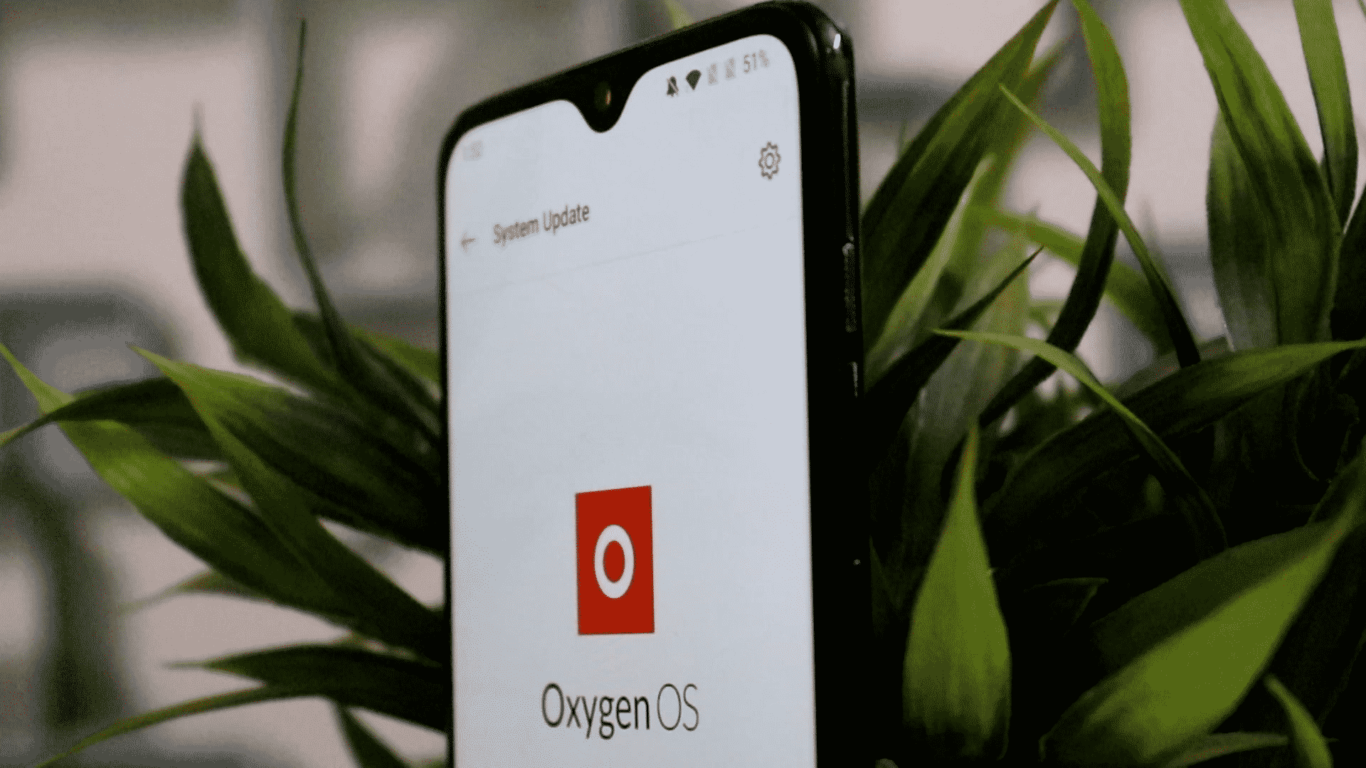 Oneplus 6 & 6T End of Software support