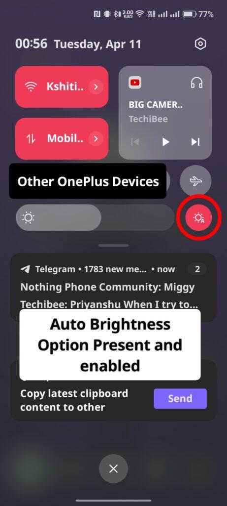 auto brightness option present and enabled 