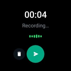 whatsapp voice message support feature record