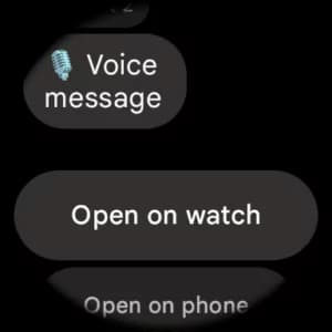 whatsapp voice message 