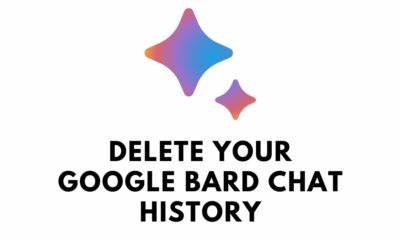 google bard chat history