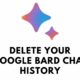 google bard chat history