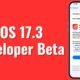 iOS 17.3 Developer Beta
